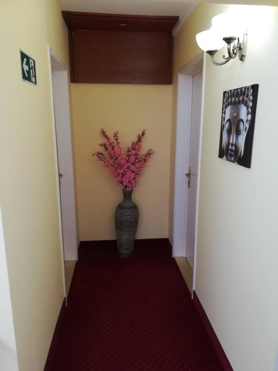 סנטאנדרה Centrum Panzio מראה חיצוני תמונה